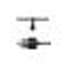 Panasonic(パナソニック) ドリルチャック専用φ6．5mmチャック・段付13mm　EZ9HX...