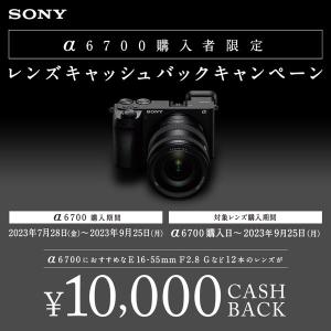 SONY(ソニー) α6700 高倍率ズームレ...の詳細画像1