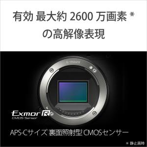 SONY(ソニー) α6700 高倍率ズームレ...の詳細画像3