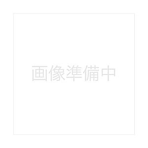 ダイキン エアコン用給気フィルター　KAF020B43