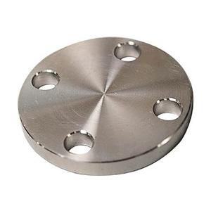 フローバル SUS304 10K 閉止フランジ 14100571 SUS10KBLFF20A