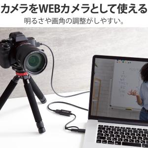キャプチャーボード ビデオキャプチャー ( H...の詳細画像2