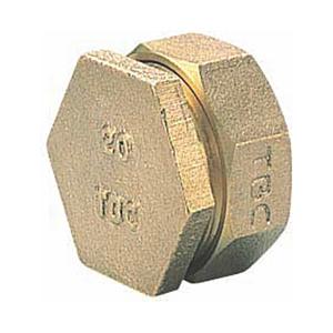 タブチ 20P PE-1-L TBC PE継手パイプエンド1種20mm