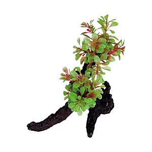 ウッドプラント テトラ WP-2 スペクトラムブランズジャパン Tetra