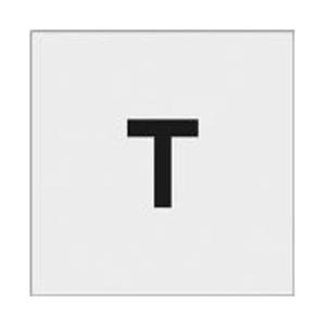 アイマーク IM　ステンシル　T　文字サイズ50×40mm AST-T5040