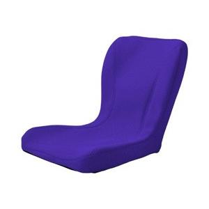 ピーエーエス 姿勢矯正イス 「PINTO BEAUTY」　PINTO BEAUTY BLUE