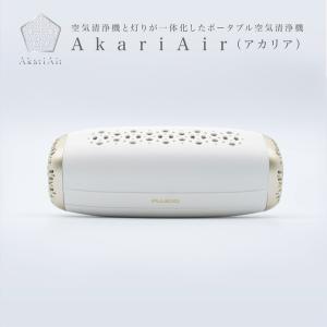 空気清浄機 エアペック WIN AP-2K20SV APEC シルバー 小型 個人用