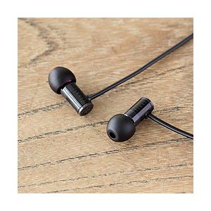 final E1000 ブラック FI-E1DPLBL＜1.2mコード＞【ハイレゾ対応】 カナル型イ...