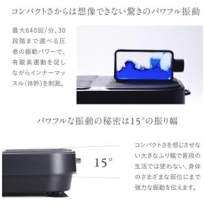 MYTREX EMS 振動マシーン W FIT...の詳細画像5