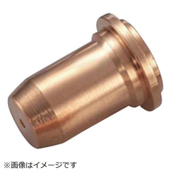 マイト マイト　チップ　（１０個入）