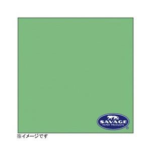 サベージ 【サベージ背景紙】バックペーパー（No.40・ミントグリーン）
