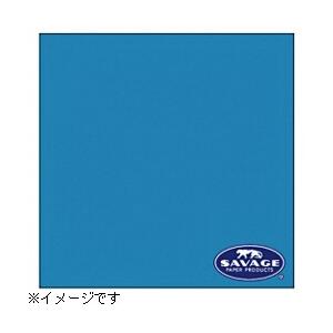 サベージ 背景紙  2.72×11m／No.83 ターコイズ   RL83-12