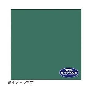 サベージ 【サベージ背景紙】バックペーパー（No.18・エバーグリーン）