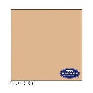 サベージ 【サベージ背景紙】バックペーパー（No.25・ベージュ）
