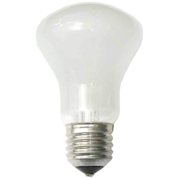 エリンクローム モデリングランプ100W 90V-120V E27（23006）