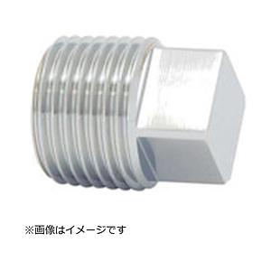 タブチ ＴＢＣ　メッキ付プラグ   20M-P