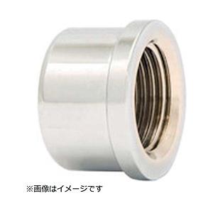 タブチ ＴＢＣ　メッキ付キャップ   13M-KP