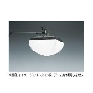 COMET(コメット) キミーラ・パンケーキランタン（M）本体