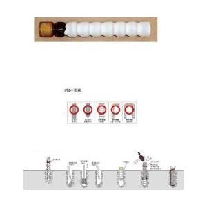 デコラックス ケミカルアンカー　PGタイプ（打込み方式）　PG19N