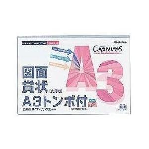 Nakabayashi 超薄型ホルダーキャプチャーズ(A3版) HUU-A3CB