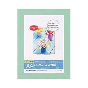 Nakabayashi Vカットマット台紙 Digio （A4/グリーン） DGVM-A4-G