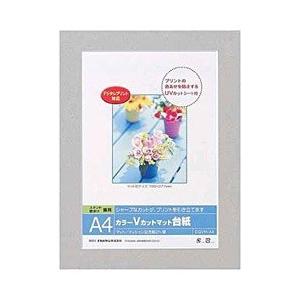 Nakabayashi Vカットマット台紙 Digio （A4/グレー） DGVM-A4-N 【86...