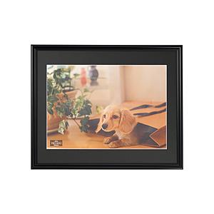 Nakabayashi 樹脂製写真額 A3判