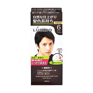 マンダム ルシード ワンプッシュケアカラー ダークブラウン