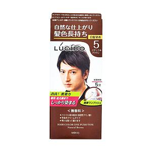 マンダム ルシード ワンプッシュケアカラー ナチュラルブラウン