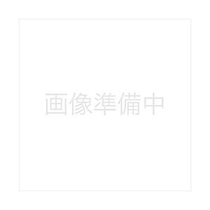 レック 吸着べんざシート（キリム）  グレー B00352