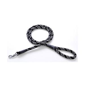 ペティオ ＢＡＳＩＣＰＬＵＳネオンプラスリード１０ブラック