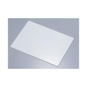 遠藤商事 SAアクリル製 ケーキプレート レクタンギュラー 50cm ＜WKCA1050＞