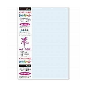 菅公工業 両面カラーリバーシブルペーパー（A4サイズ・10枚/スカイブルー）　モリ105 【852】