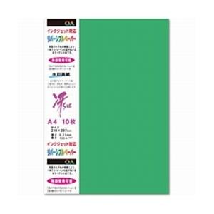 菅公工業 両面カラーリバーシブルペーパー（A4サイズ・10枚/グリーン）　モリ117 【864】