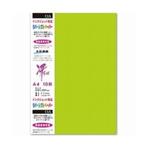 菅公工業 両面カラーリバーシブルペーパー（A4サイズ・10枚/ライグリーン）　モリ118 【852】