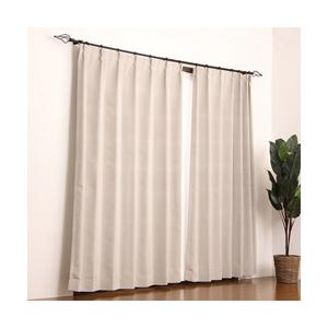 東京シンコール ドレープカーテンシード（100×178cm/シルバー）