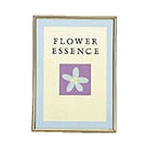 ラドンナ リビングフレーム （2L判） BK1-C