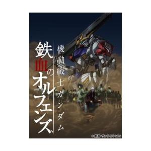 バンダイビジュアル 機動戦士ガンダム 鉄血のオルフェンズ 弐 06 特装限定版 BD