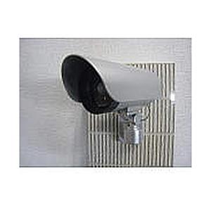 大進 カメラ型センサーライト DLB-K500