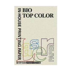 伊東屋 バイオトップカラー グレー （A4/80g・100枚） BT109