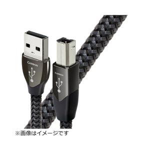 オーディオクエスト USBケーブル USB2/CAR/0.75M