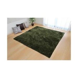 イケヒコ ラグ シャギー調　ラルジュ　200×250cm  グリーン