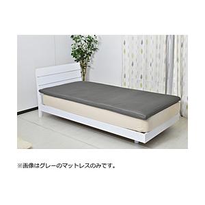 オーシン 生毛工房×ファインエアー S  グレー