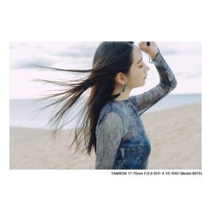 TAMRON(タムロン) カメラレンズ 17-...の詳細画像4