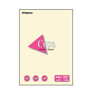長門屋商店 ナ-1202 カラーペーパーCopa中厚口 A3 レモン 100枚