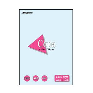 長門屋商店 ナ-1210 カラーペーパーCopa（コパ）中厚口 A3 水 100枚