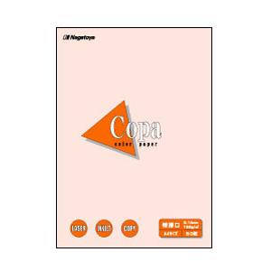 長門屋商店 ナ-1419 カラーペーパーCopa（コパ）特厚口 A3 さくら 50枚