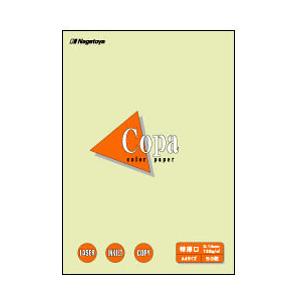 長門屋商店 ナ-3408 カラーペーパーCopa（コパ）特厚口 A4 うぐいす 50枚