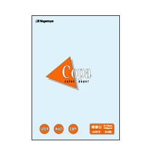 長門屋商店 ナ-3410 カラーペーパーCopa（コパ）特厚口 A4 水 50枚