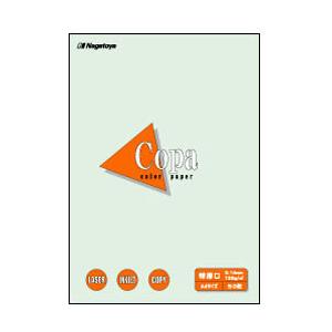 長門屋商店 ナ-4411 カラーペーパーCopa(コパ) 特厚口 B5 浅黄 50枚 【864】